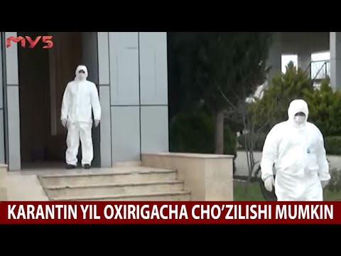 Video: Avtobus Chastotasini Qanday Aniqlash Mumkin