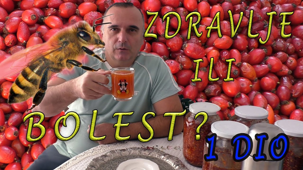 Ljekoviti napitak od šipka zdravlje imuni sistem gripa prehlada nazeb 1 DIO