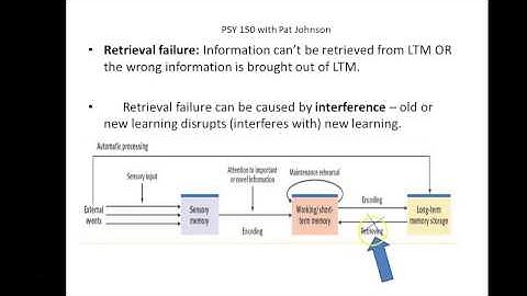 PSY 150 Memory: Forgetting