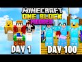 We Spent 100 Days In One Block Minecraft And Here's What Happened...