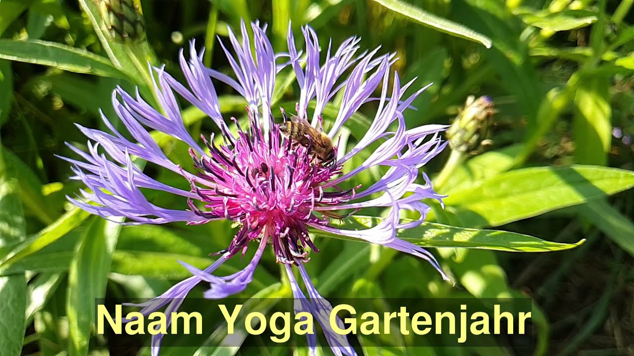 Naam Yoga mit Katja