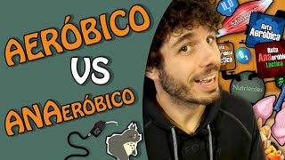 Ejercicio AERÓBICO y ANAERÓBICO, ¿cuál es la diferencia?