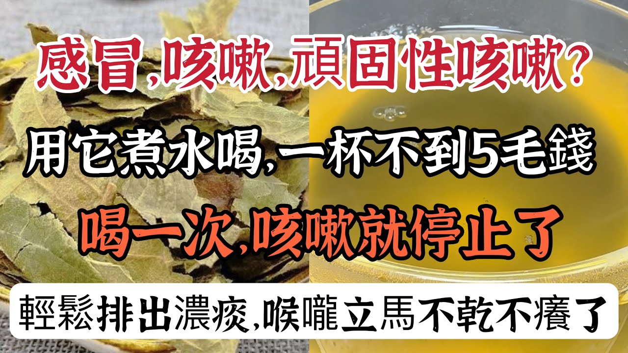 感冒，頑固性咳嗽？用它煮水一杯不到5毛錢，喝一次咳嗽就停止了，快速排出濃痰，喉嚨不乾不癢了，清爽又舒服【可嘉媽媽】 - YouTube
