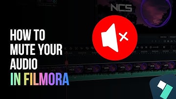 How To Mute Your Audio On Filmora 13