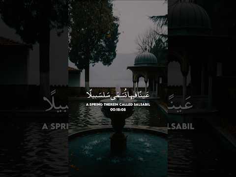 عينا فيها تسمى سلسبيلا سورة الإنسان محمد اللحيدان