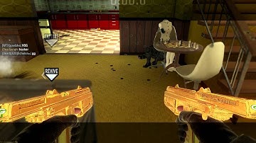 Golden PM63 Dual Wield Killcam