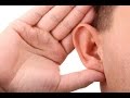 Устройство уха и слуховая трансдукция (передача звука).