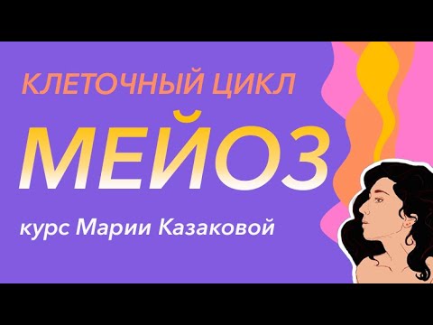 Урок "Мейоз" - ЦТ, ЕГЭ, ЗНО