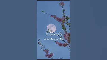 تلاوة هادئة بصوت ياسر الدوسري❤️‍🩹| #القرآن_الكريم #قران_كريم #راحة_نفسية #ياسر_الدوسري#اكسبلور#لايك