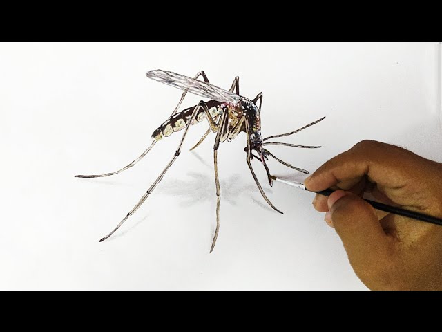Realistic Mosquito Image Drawing PNG Images | PSD Free Download - Pikbest