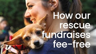 The Secret Behind Waggytail Rescue’s Zero-Fee Fundraising Success 🐶