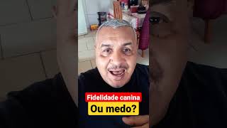 Fidelidade canina ou medo