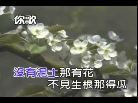 ff50 沒有泥土那有花 鳳飛飛 blackjackstory.com