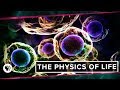 Understanding Entropy and the Origin of Life