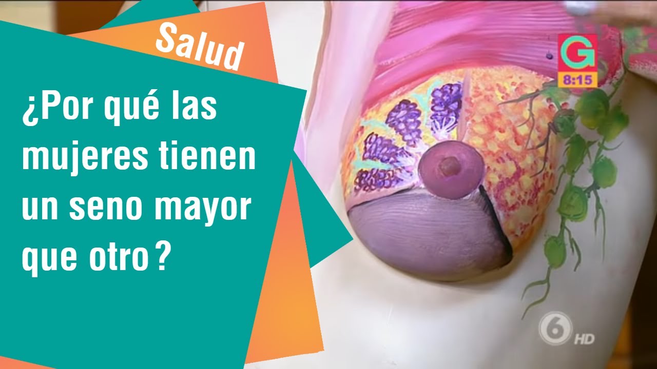 ¿Por qué las mujeres tenemos un seno mayor que otro? | Salud