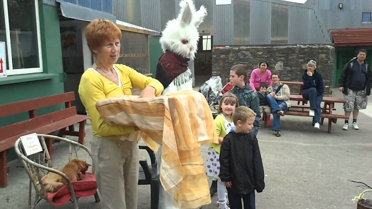 kennedys-pet-farm-easter-egg-hunt-part-2-youtube