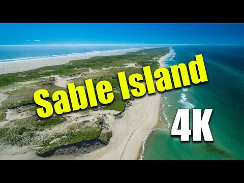 Video: Ce este special la Insula Sable?
