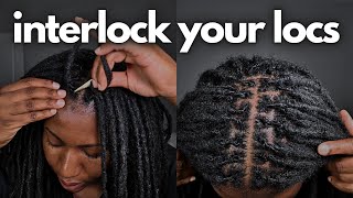 How to Interlock Your Locs at Home | Beginner-Friendly Tutorial