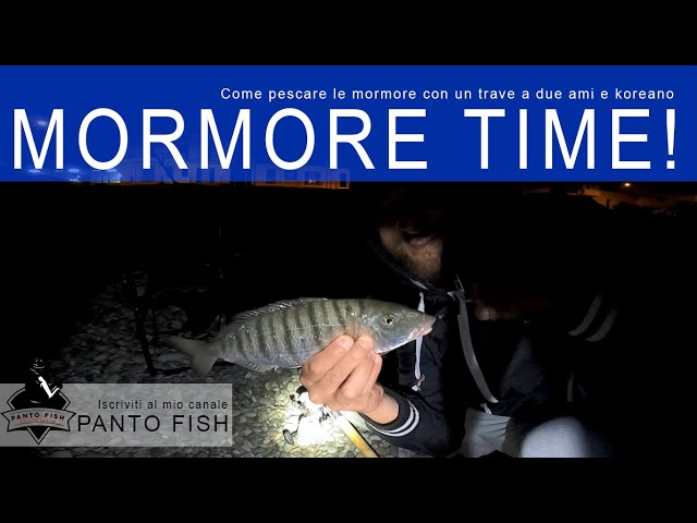 Come pescare le mormore con un trave a due ami