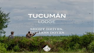 Tucumán Lodge: The Ultimate Dove Hunting Destination for Wingshooters screenshot 1