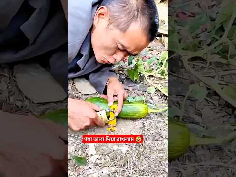 শসা তালা দিয়ে রাখলাম  #vairalshort #trending #comedy #funny #shorts