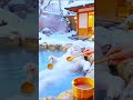 湯けむりの猫The Cat in the Hot Spring#かわいいニャンコ#癒される動物動画 #cutekitten# cat#animals