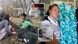 Spring work on a Hutterite colony | horseradish + rainy days & wedding dresses...vlog 192