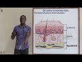 23 The Skin Biology Form 2 23 The Skin Biology Form 2