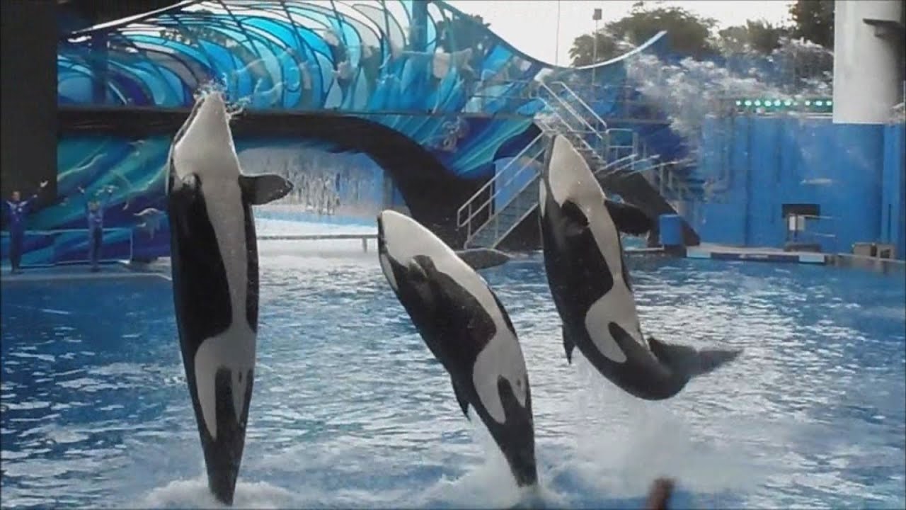 we-re-one-6-6-12-1-youtube