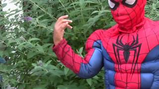 SUMMER DISCOVER VIDEO PRODUCTION 2019 WEEK 1