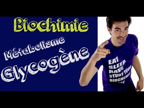 Vidéo: Quel nucléoside triphosphate est utilisé dans la synthèse du glycogène ?