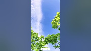 تلاوه نجديه بصوت الشيخ جمعان اللحياني