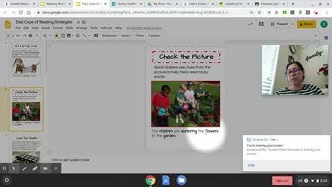 Reading Strategies   picture and chunks