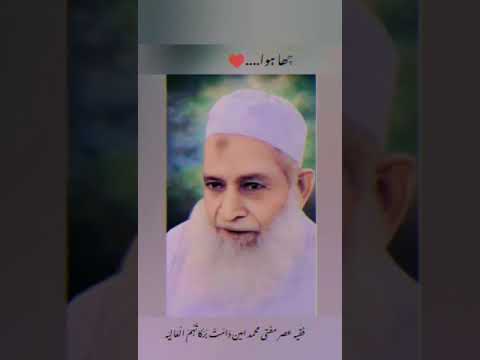 Mufti Muhammad Ameen Sahab #darood #daroodsharif #bayan #islamicvideo