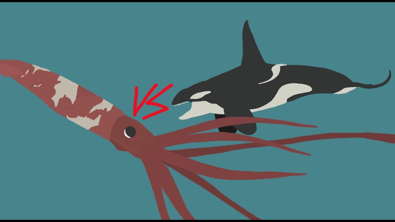 Pivot Animal Battle Arena: Killer Whale vs Giant Squid - YouTube
