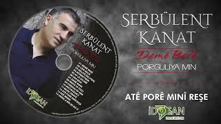 Serbülent Kanat Ate Pore Mıni Reşe