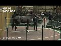 Dana's Beauty sells for $450,000 at Keeneland April