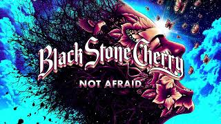 Black Stone Cherry - Not Afraid (Screamin&#39; At The Sky)