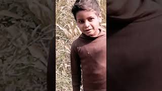 Aditysa
