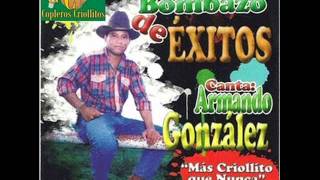 Video thumbnail of "Armando Gonzalez  - Amor Desconocido"