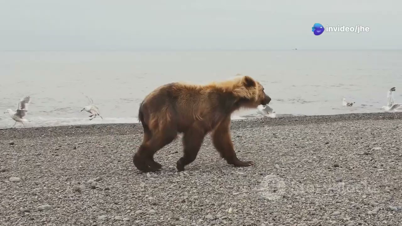 "Nature Untouched: Off-the-Grid Destinations for True Wilderness Seekers"