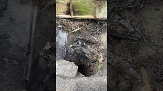 10’ deep hand dug well (bone dry) by Historic Blick Plantation  144 views 4 months ago 4 minutes, 27 seconds