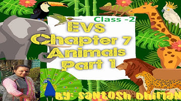 Class 2 EVS Chapter 7 Animals Part1