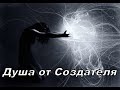 Душа от Создателя