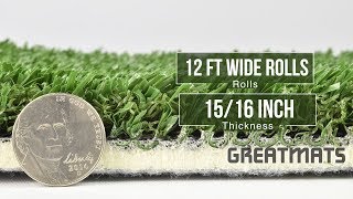 Padded Artificial Gym Turf  by Greatmats - https://www.greatmats.com/artificial-turf/velocity-grass-turf.php

- Perfect for Agility Training, Indoor Sports, Trade Shows

- Reacts Naturally

- Low maintenance

- Easy Cleaning

- Consistent Performance

- Indoor/Outdoor

- 12 ft wide rolls

- 15/16 inch thick

- Non absorbent

- Made in the USA

- UV Treated

- 8 year warranty

- Available in Green, White, Red, Blue and Black
