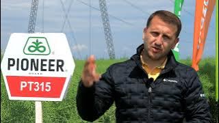 Culturi de rapita profitabile cu produsele Corteva_ Marcel Pana_Director vanzari Baragan