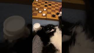 ТГ: layla_winx #гипнокоуч #гипнолог #гипнотерапия #гипнологонлайн #гипноз #транс #гипнозонлайн