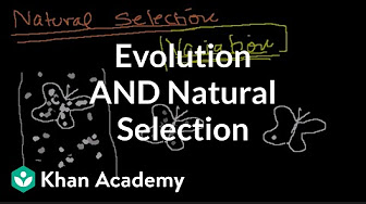 Khan Academy Biology