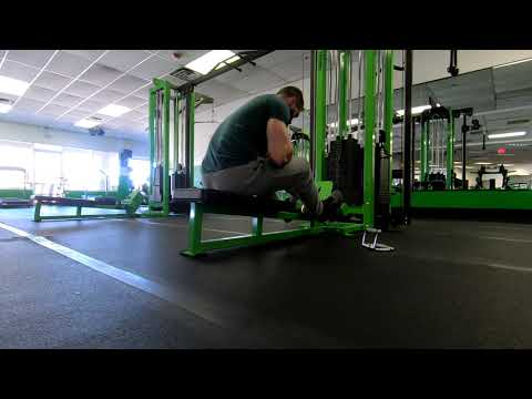 1-Arm Cable Row w/ thoracic rotation