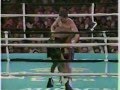 46. Julio Cesar Chavez UD 12 David Kamau, Sep 1995